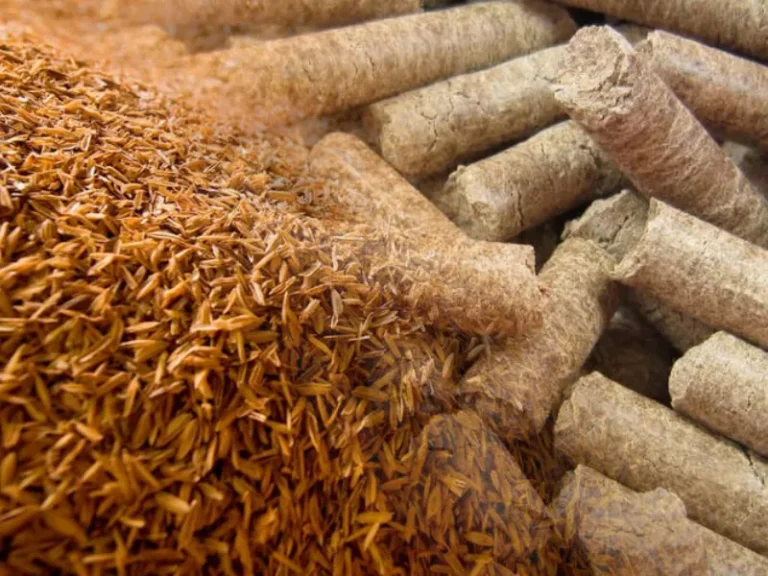 Husk Pellet Machine for Agricultural By-product Recycling