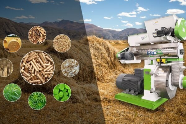 Pellet mill for belt processing
