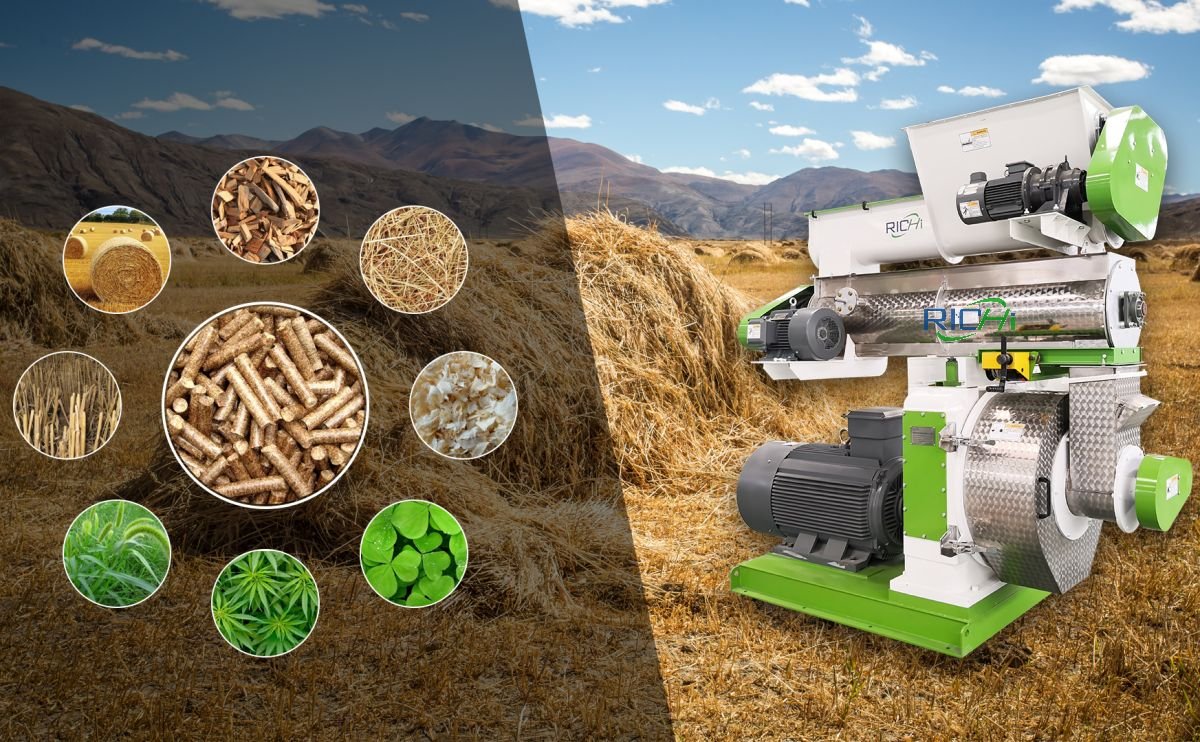 Pellet mill for belt processing