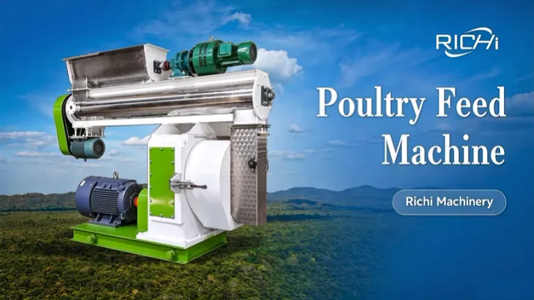 Which Parts of a Feed Mill Should Be Automated?